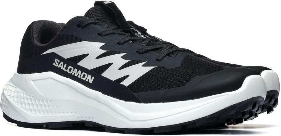 Salomon Alphaglide Trailrunningschoenen 2 3 grijs