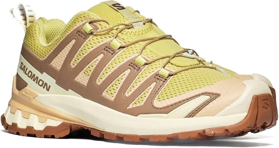 Salomon Women's XA Pro 3D V9 Multisportschoenen 1 3 beige