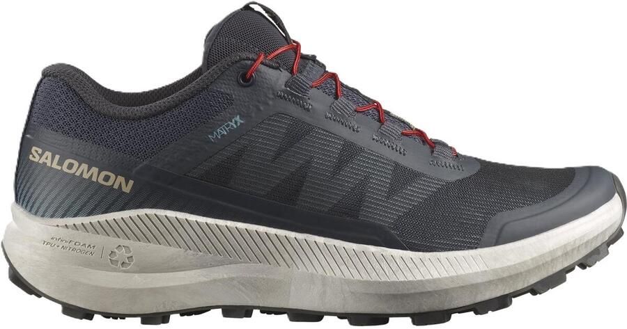 Salomon Vision Trailrunningschoenen 2 3 grijs