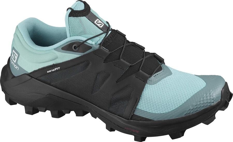 Salomon Wildcross Hardloopschoenen Zwart Groen