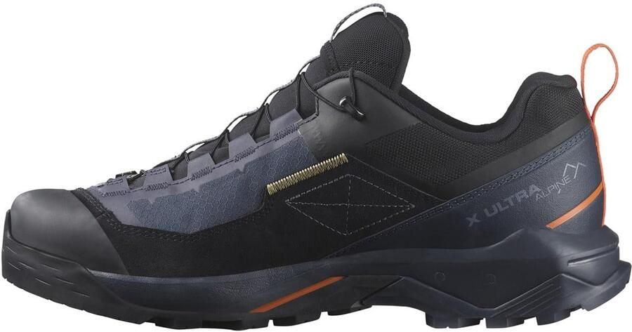 Salomon X Ultra Alpine GORE-TEX Approachschoenen 2 3 zwart