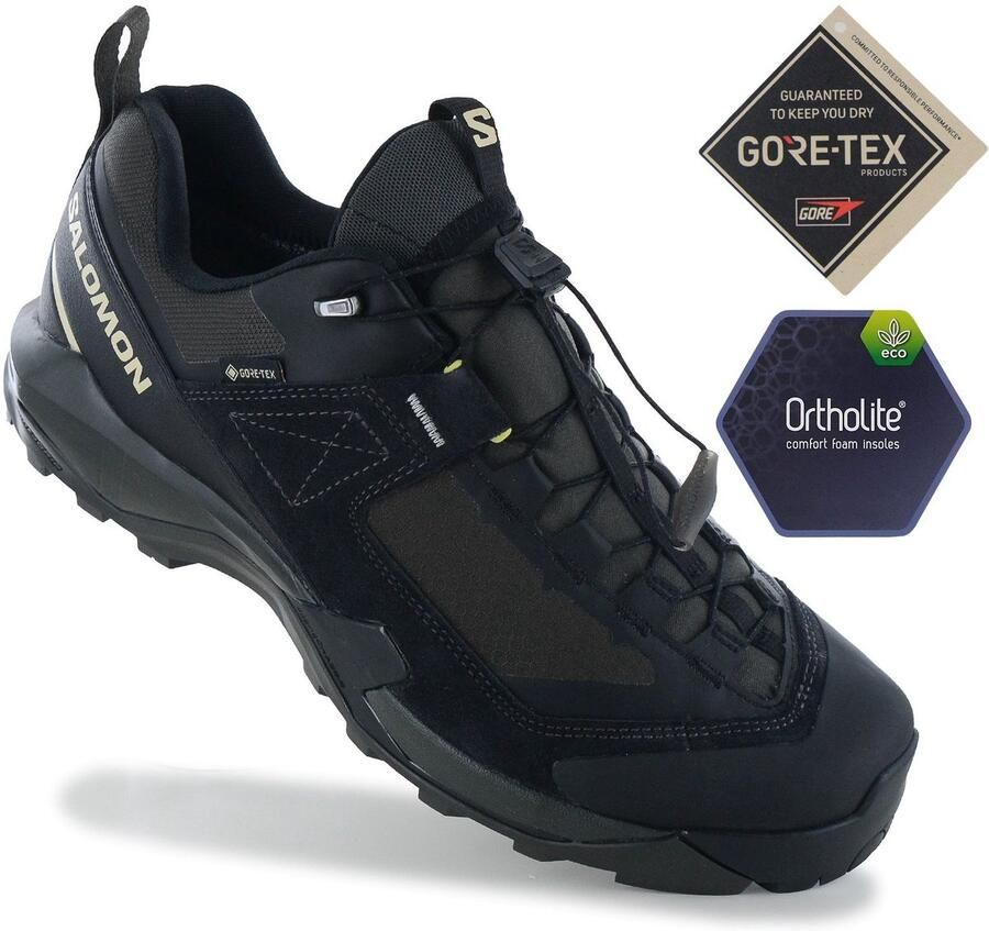 Salomon X-ULTRA Alpine GTX GORE-TEX Heren Wandelschoenen Trekking Schoenen Zwart