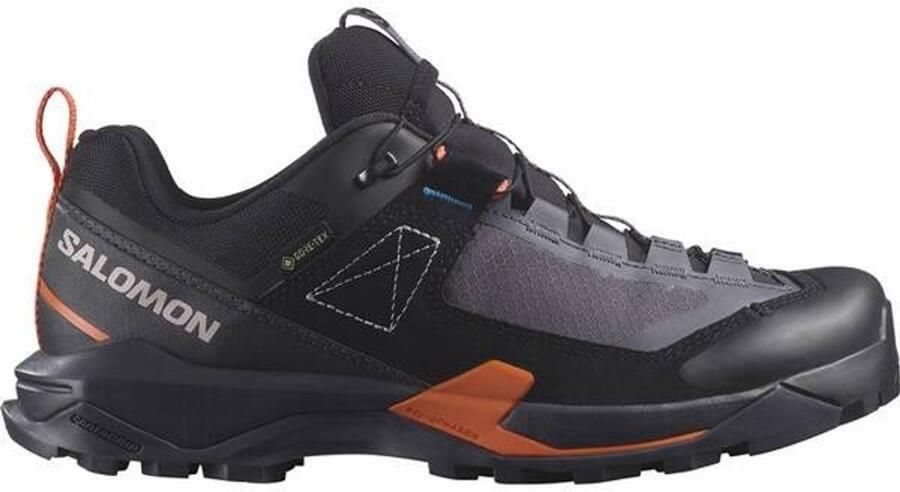 Salomon Women's X Ultra Alpine GORE-TEX Approachschoenen 2 3 zwart grijs