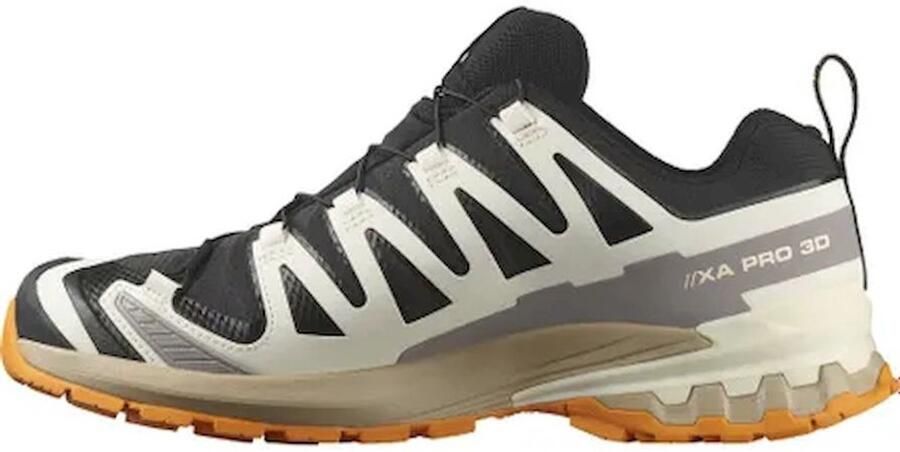 Salomon xa pro 3d v9 gore-tex Lage wandelschoenen heren Zwart