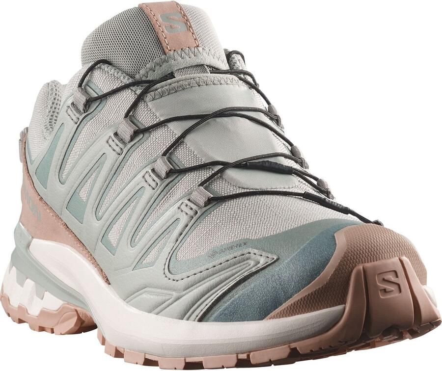 Salomon Women's XA Pro 3D V9 GORE-TEX Lifelong Multisportschoenen 2 3 grijs
