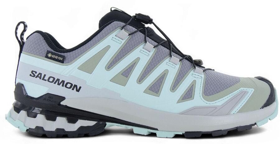 Salomon XA PRO 3D V9 GTX W GORE-TEX Dames Wandelschoenen Trail-Running Schoenen