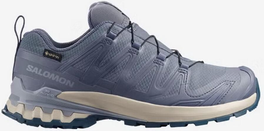 Salomon Women's XA Pro 3D V9 GTX Multisportschoenen 1 3 grijs