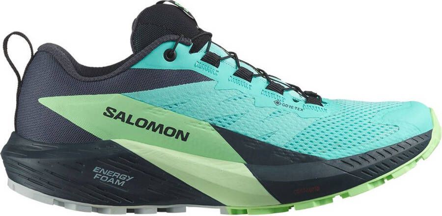 Salomon Trailrunningschoenen SENSE RIDE 5 GORE-TEX W waterdicht trailrunningschoenen