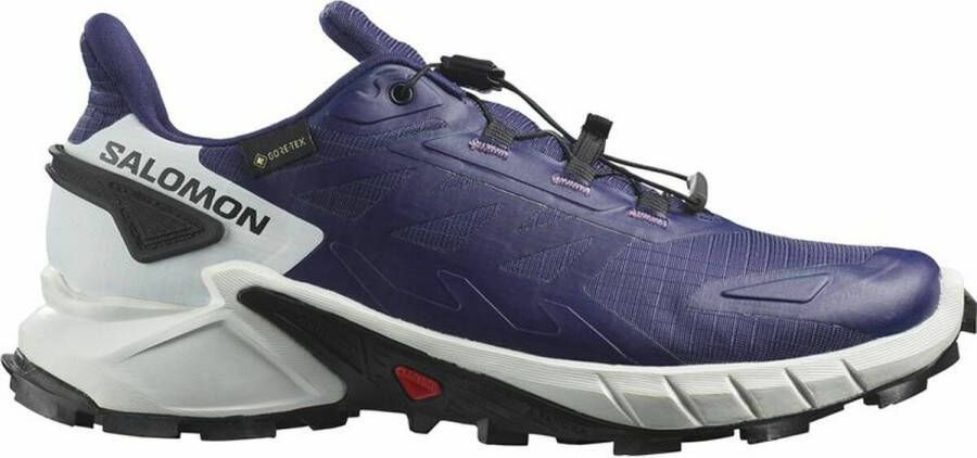 Salomon Women's Supercross 4 GORE-TEX Trailrunningschoenen grijs