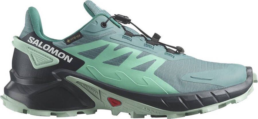 Salomon Supercross 4 Goretex Trailrunningschoenen Groen 2 3 Vrouw