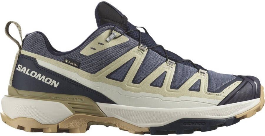 Salomon X Ultra 360 Edge GTX Multisportschoenen grijs