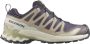 Salomon Women's XA Pro 3D V9 GTX Multisportschoenen beige - Thumbnail 1