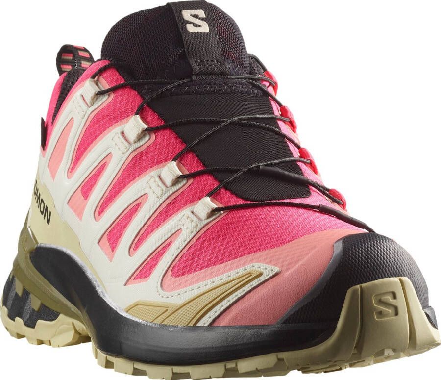 Salomon XA PRO 3D V9 GTX