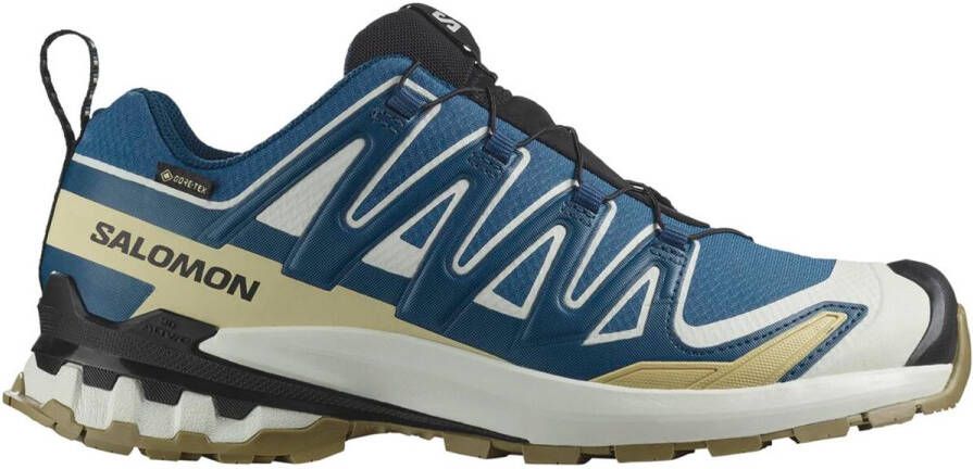 Salomon XA Pro 3D V9 GTX Multisportschoenen 1 3 blauw