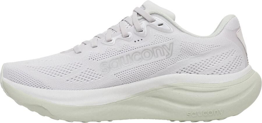 Saucony Women's Ride 19 Hardloopschoenen fog cast