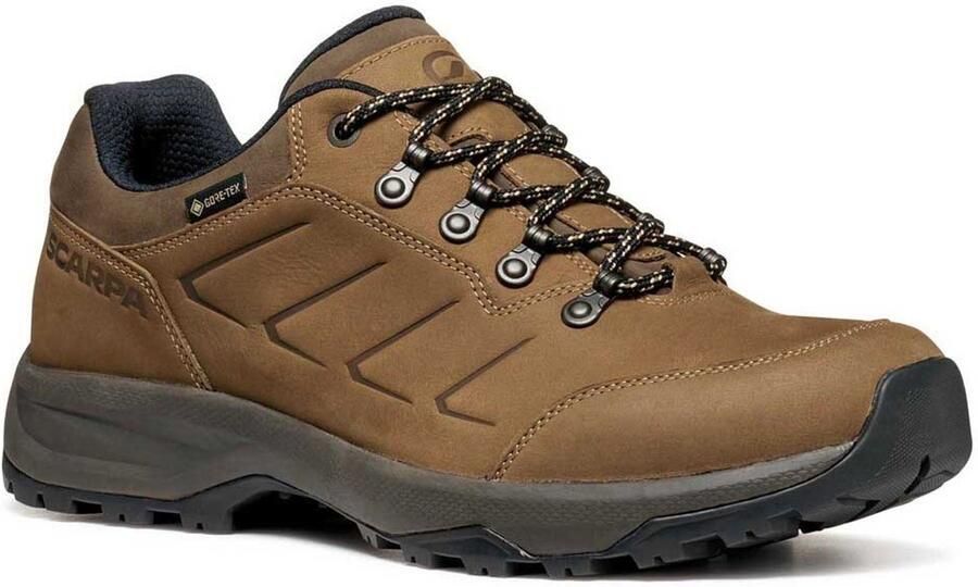Scarpa Cyr Goretex Wandelschoenen Bruin Man