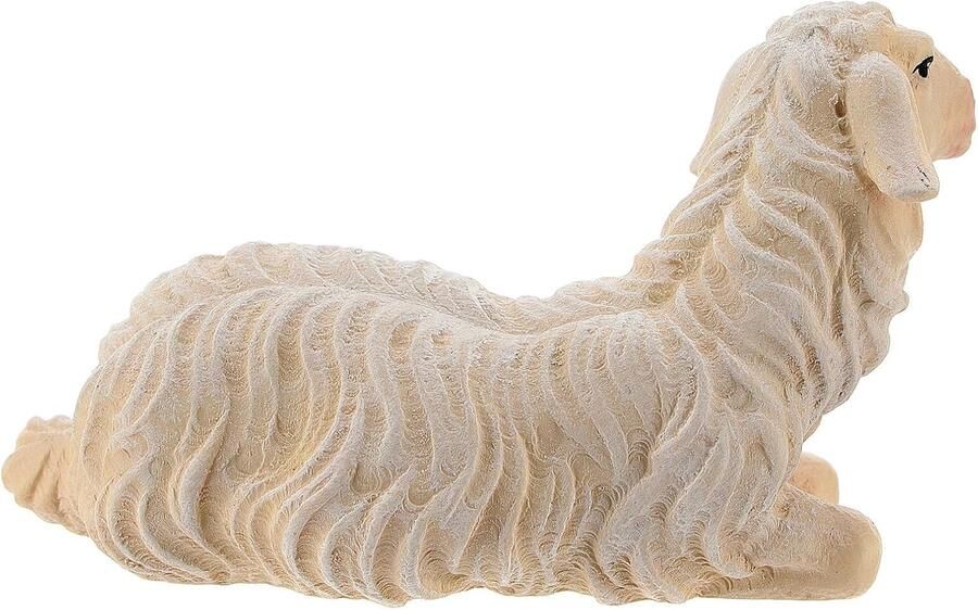 Schaap hoofd links