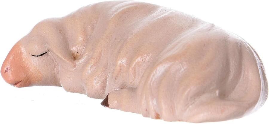 Schaap