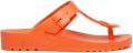 Scholl BAHIA FLIP-FLOP EVA Tangerine Dames Slippers Mandarijn