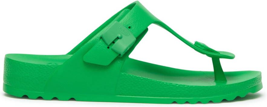 Scholl BAHIA FLIP-FLOP EVA GREEN Dames Slippers Groen