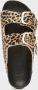 Scholl Footwear Bruin Footwear Noelle Sandalen Bruin F30067 - Thumbnail 6
