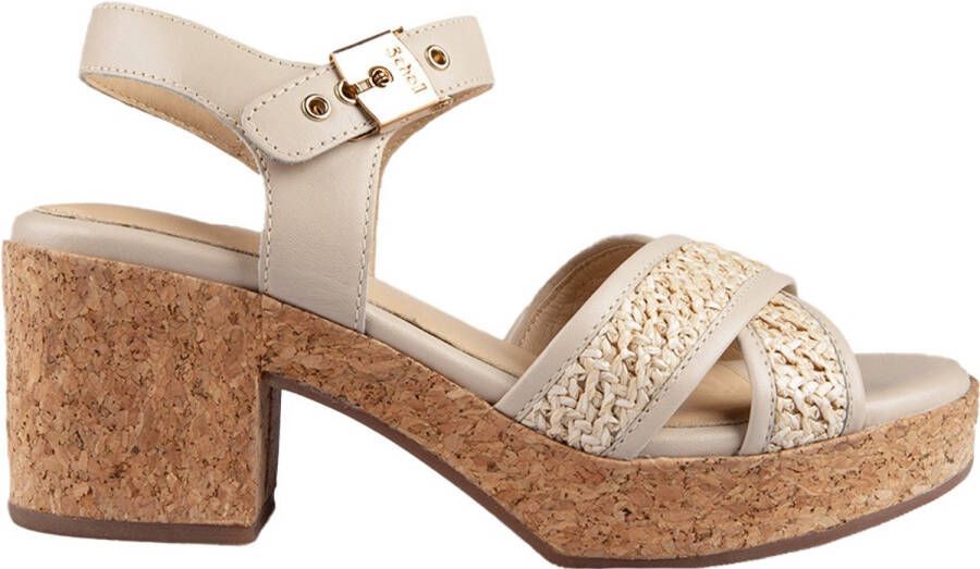 Scholl Darcy