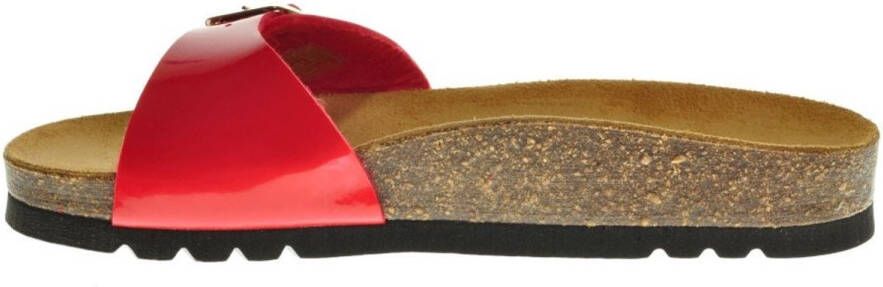 Scholl Estelle Rood Patent