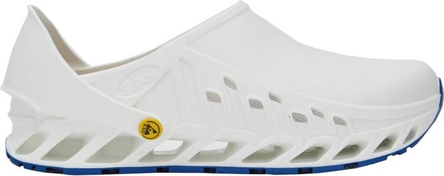 Scholl EVOFLEX Tpr -U WHITE Unisex Clogs WHITE