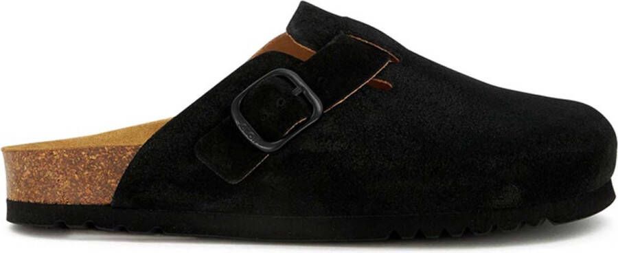 Scholl Fae New
