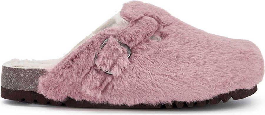Scholl Fae New
