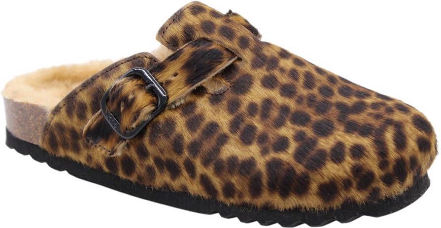 Scholl Fae New Instappers Dames Bruin