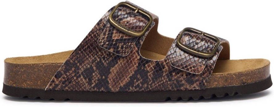 Scholl Josephine Syn Marrone Brown Sandalen Dames