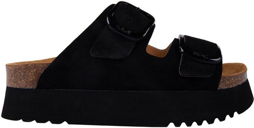 Scholl Lucie
