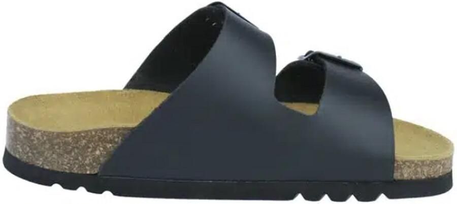 Scholl Andrea