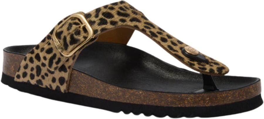 Scholl Bruin Anais Slippers Bruin F00629