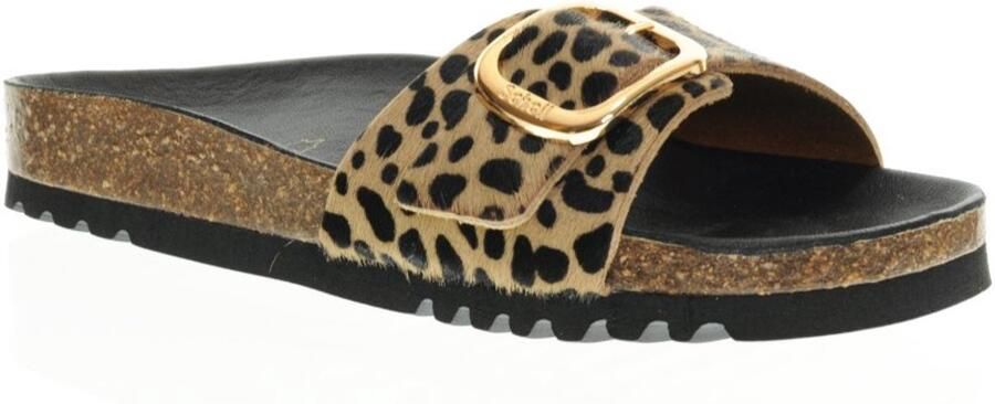 Scholl Khatleen Sandalen 1 Riem Leer Vrouwen Luipaard - Foto 2
