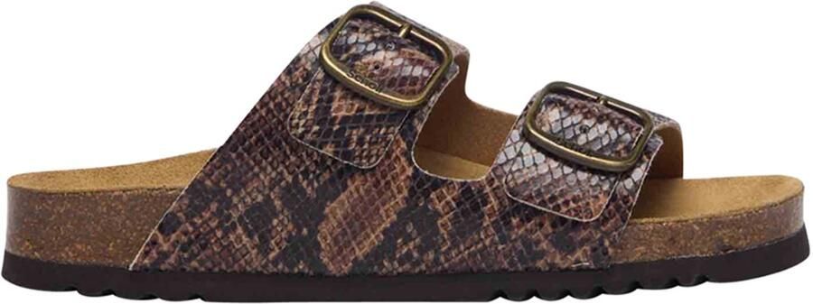 Scholl Sandalen 2 Riemen Josephine Synthetisch Pythonleer Vrouwen Bruin