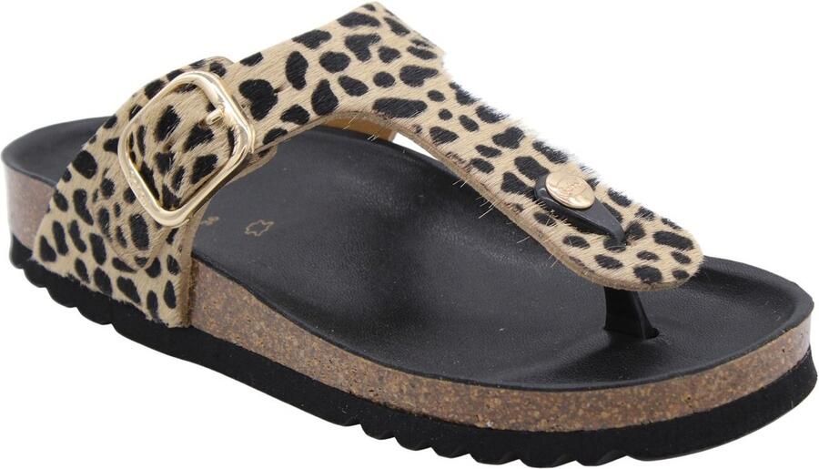 Scholl Schoenen Camel Vrouwen