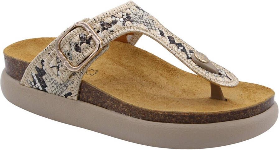 Scholl Slipper Creme