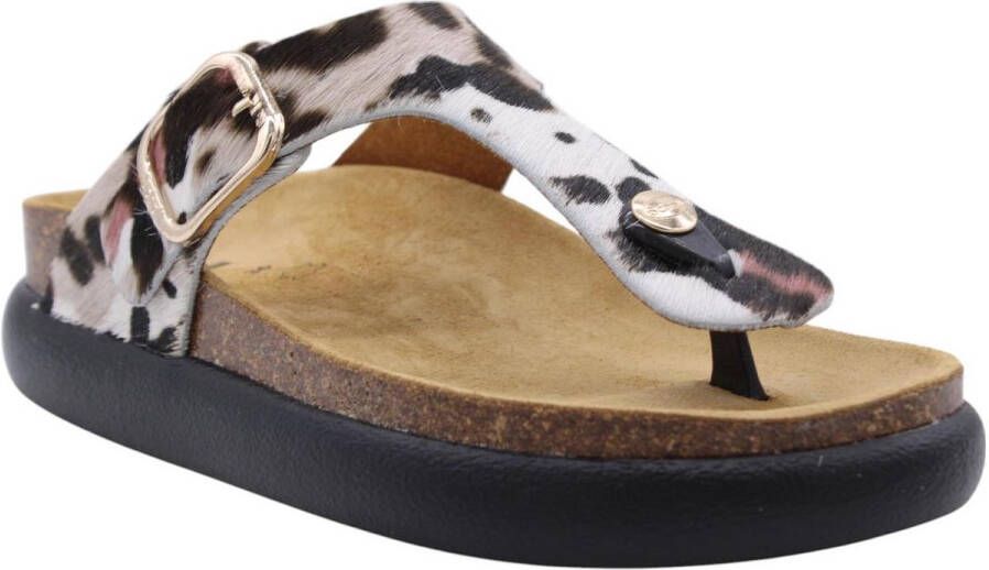 Scholl Slipper Creme