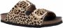 Scholl Footwear Bruin Footwear Noelle Sandalen Bruin F30067 - Thumbnail 2