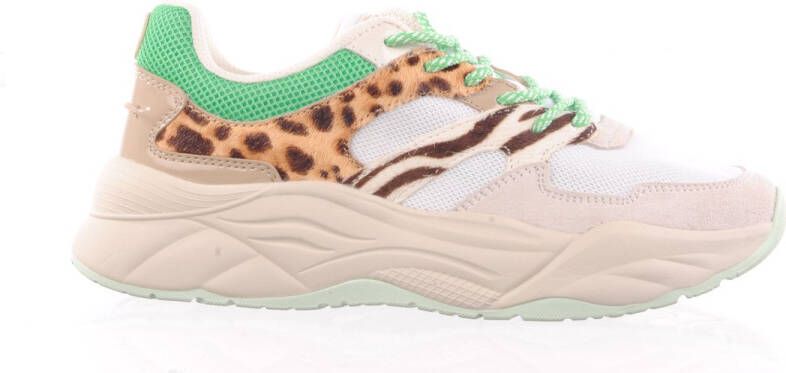 SCOTCH & SODA Celest Green Animal Chunky Wit Mesh Lage sneakers Dames - Foto 2