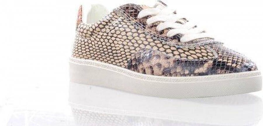 Scotch & Soda damessneaker ""Laurite"" beige pitonprint