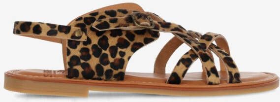 Shabbies Angel cross 1115 black cogna multi bruin