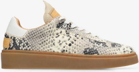 Shabbies Amsterdam Sneaker Bossa Nuovo Snake Black White
