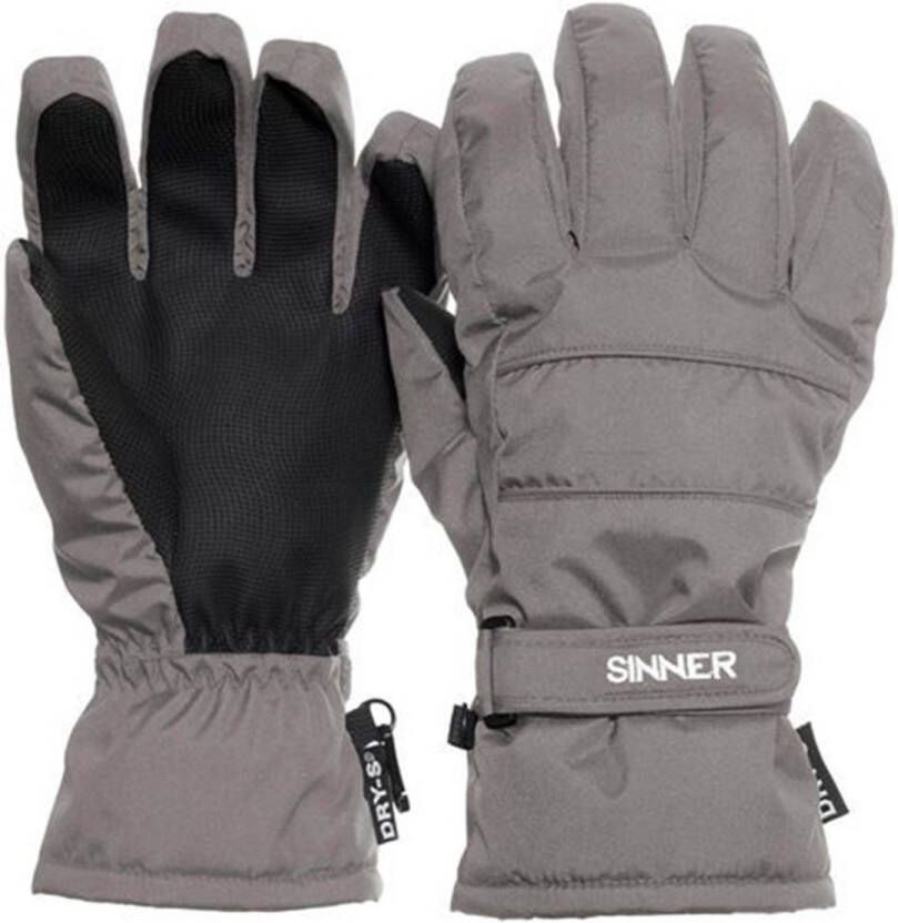 SINNER vertana Ski handschoenen heren Grijs-Multicolour