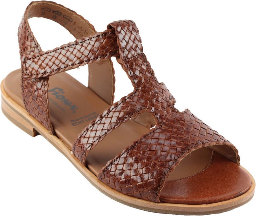 Sioux Cosinda.66392 Cognac