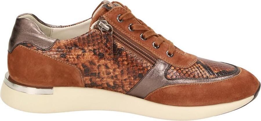 Sioux Malosika 701 sneakers bruin dames (S) (64998)