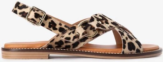 Sissy-Boy Bruine sandalen met leopard print