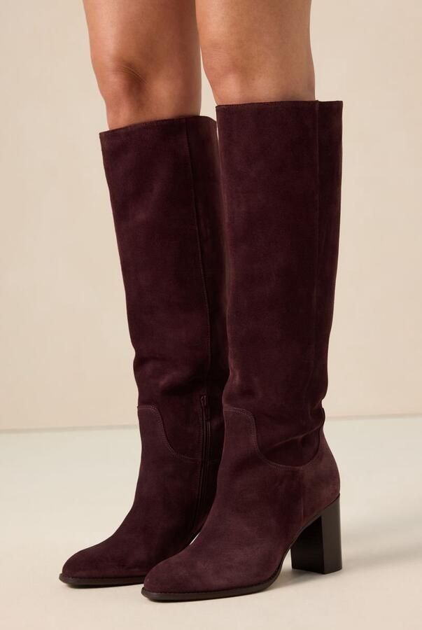 Sissy-Boy Donkerrode suède laarzen